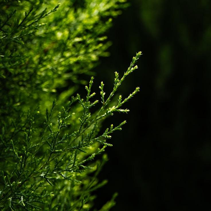 Nature travel hero image